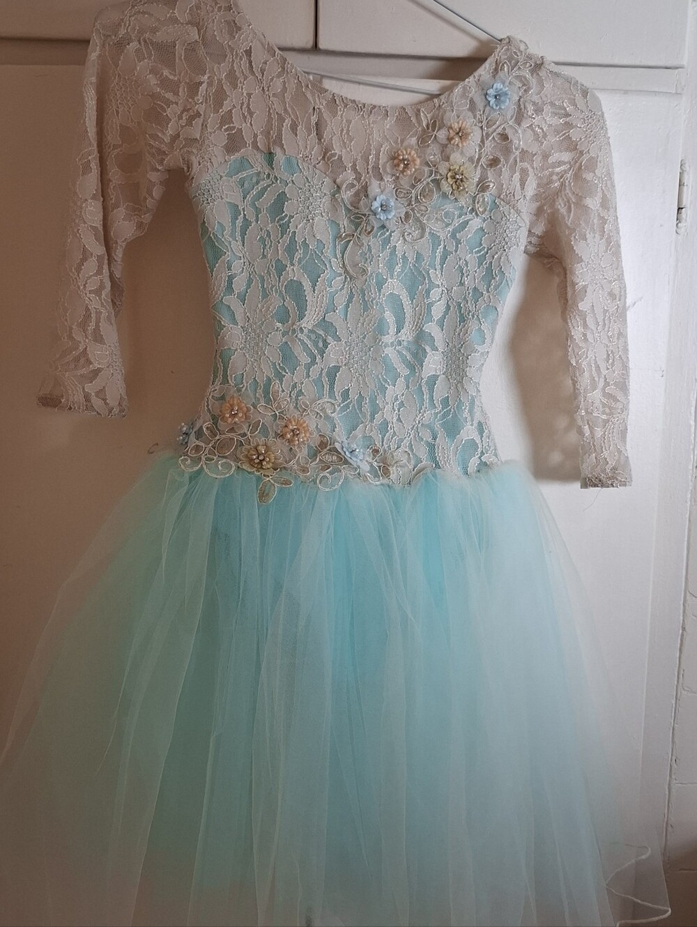 A Wish Come True Costume Dress
